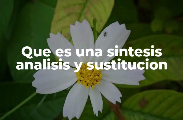 Que es una Sintesis Analisis y Sustitucion
