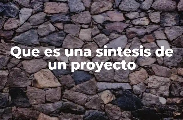 La importancia de una síntesis en el contexto de gestión de proyectos