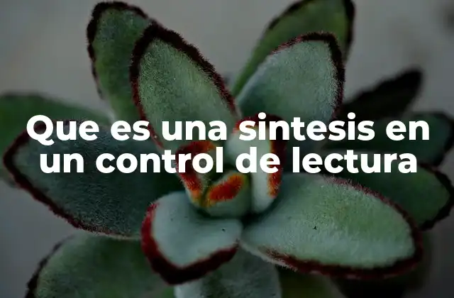 Que es una Sintesis en un Control de Lectura