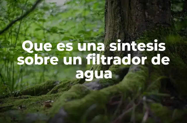La importancia de comprender el funcionamiento de los filtros de agua