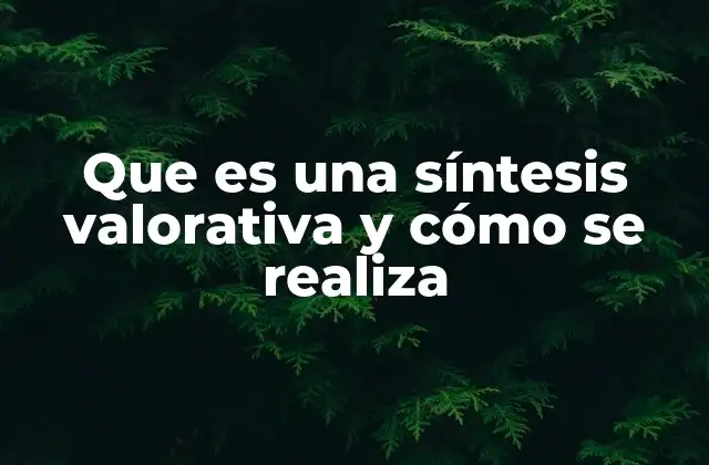 Que es una Síntesis Valorativa y Cómo Se Realiza