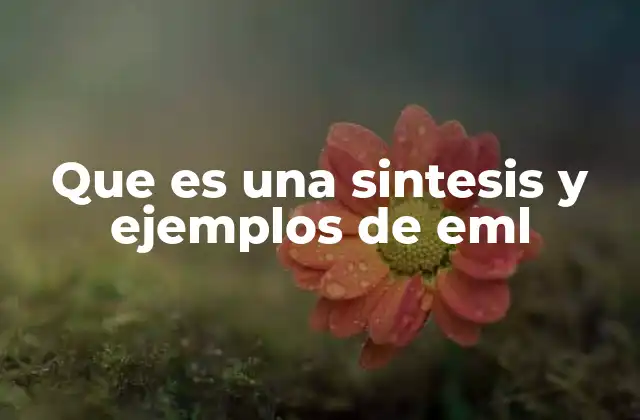 Que es una Sintesis y Ejemplos de Eml