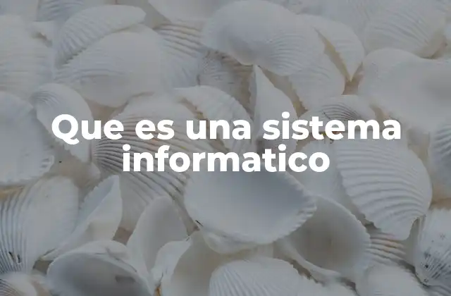 Que es una Sistema Informatico