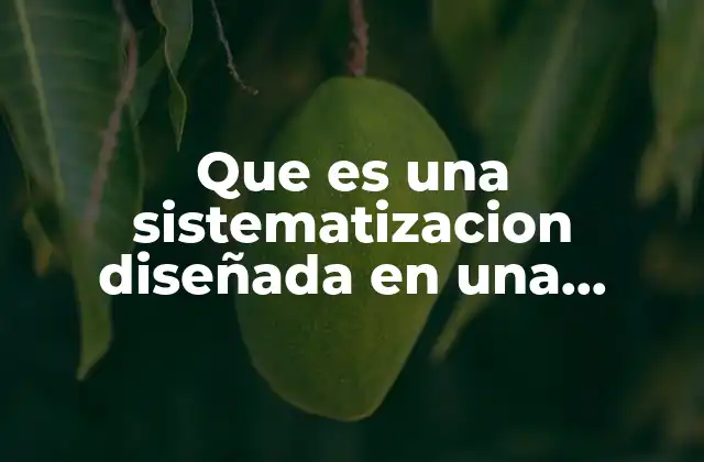 Que es una Sistematizacion Diseñada en una Auditoria