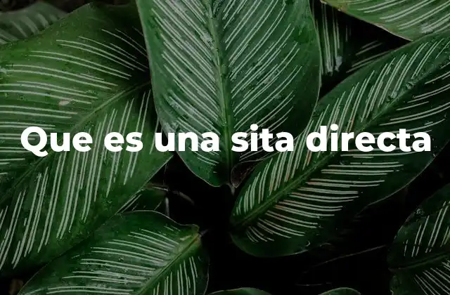 La importancia de usar sitas directas en la comunicación efectiva