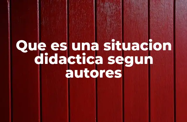 Que es una Situacion Didactica Segun Autores