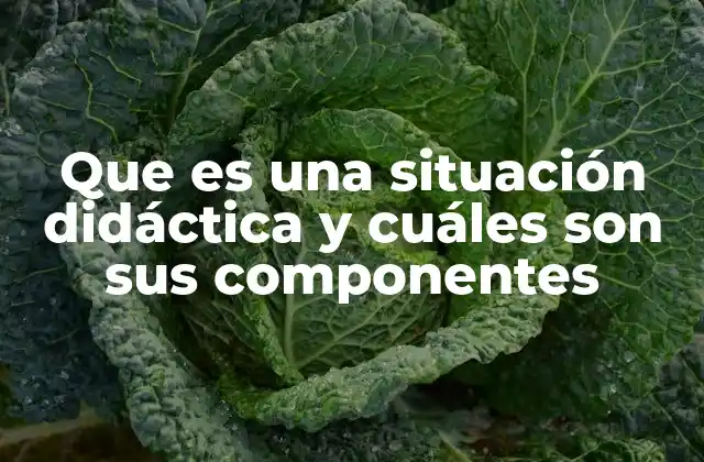 Que es una Situación Didáctica y Cuáles Son Sus Componentes