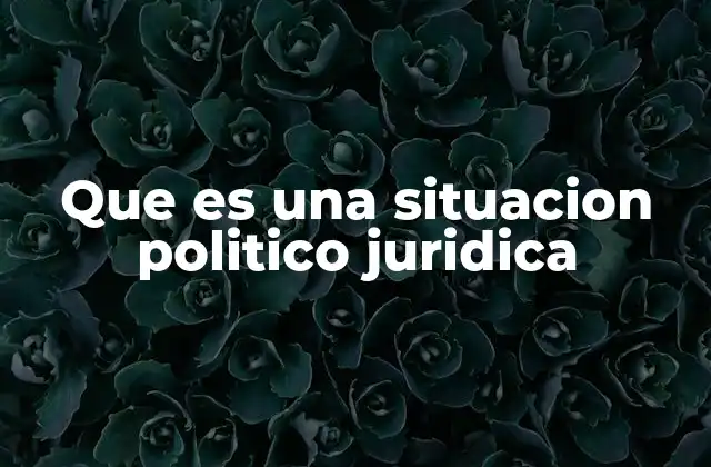 Que es una Situacion Politico Juridica