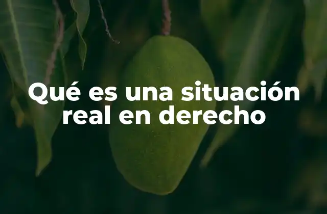 Qué es una Situación Real en Derecho