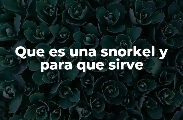 Que es una Snorkel y para que Sirve