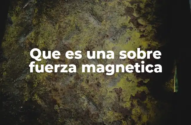 Que es una sobre Fuerza Magnetica