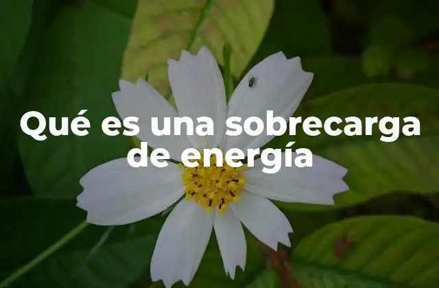 Qué es una Sobrecarga de Energía