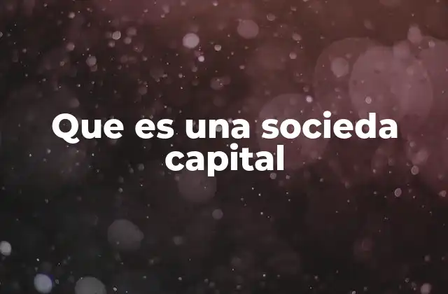 Que es una Socieda Capital