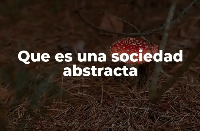 Que es una Sociedad Abstracta