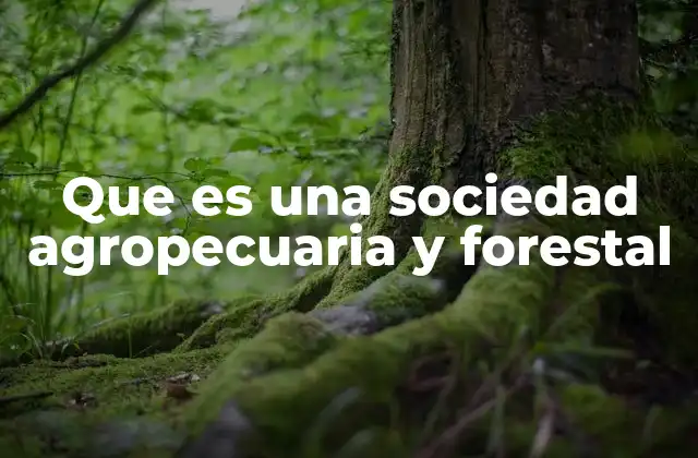 Que es una Sociedad Agropecuaria y Forestal