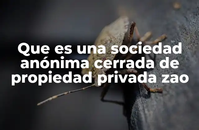 Que es una Sociedad Anónima Cerrada de Propiedad Privada Zao