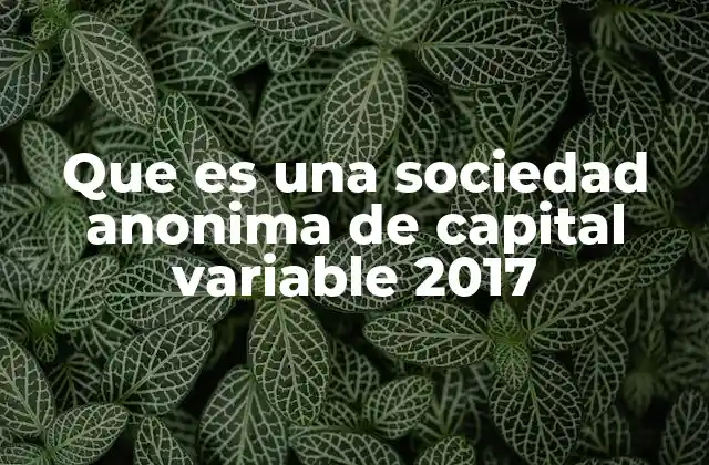Características principales de la sociedad anónima de capital variable