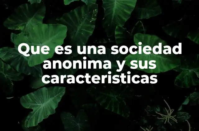 Estructura y funcionamiento de una sociedad anónima