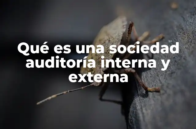 Qué es una Sociedad Auditoría Interna y Externa