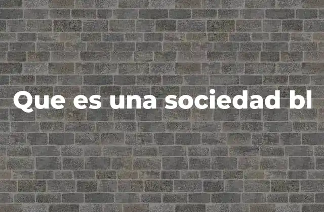 Que es una Sociedad Bl