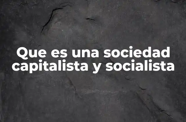 Que es una Sociedad Capitalista y Socialista