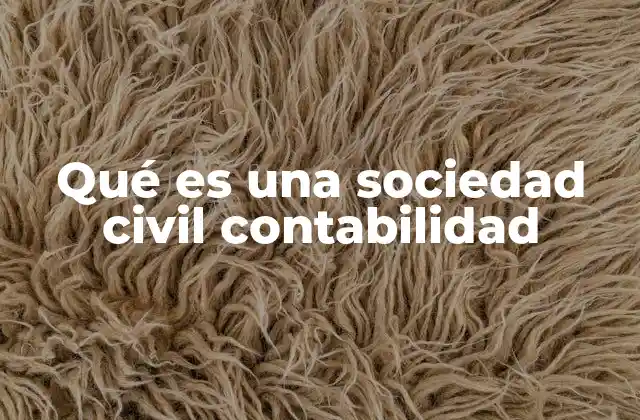 Qué es una Sociedad Civil Contabilidad