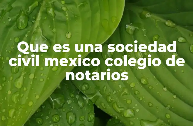 Que es una Sociedad Civil Mexico Colegio de Notarios