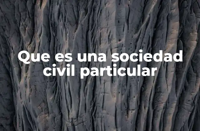Que es una Sociedad Civil Particular