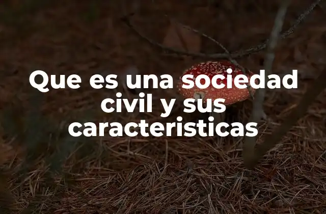 Que es una Sociedad Civil y Sus Caracteristicas