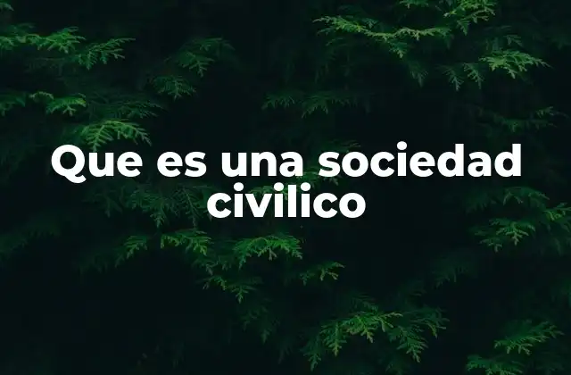 Que es una Sociedad Civilico