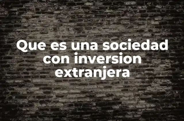 Formas de estructurar una sociedad con inversión extranjera