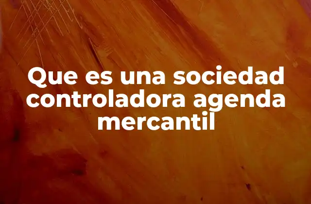 Que es una Sociedad Controladora Agenda Mercantil 2 El rol estratégico de la sociedad controladora en el entorno empresarial