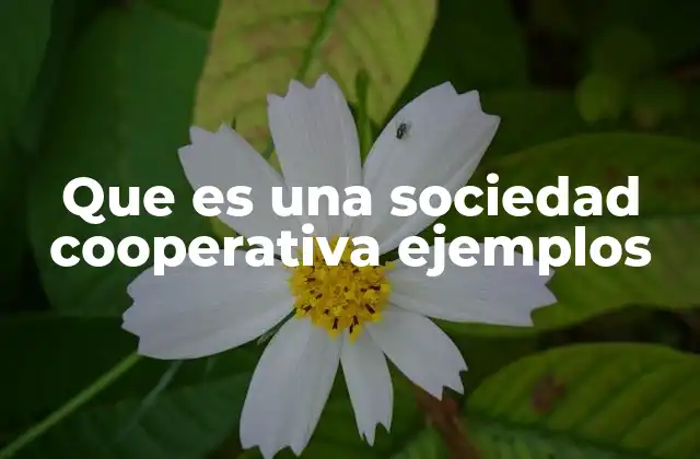 Que es una Sociedad Cooperativa Ejemplos