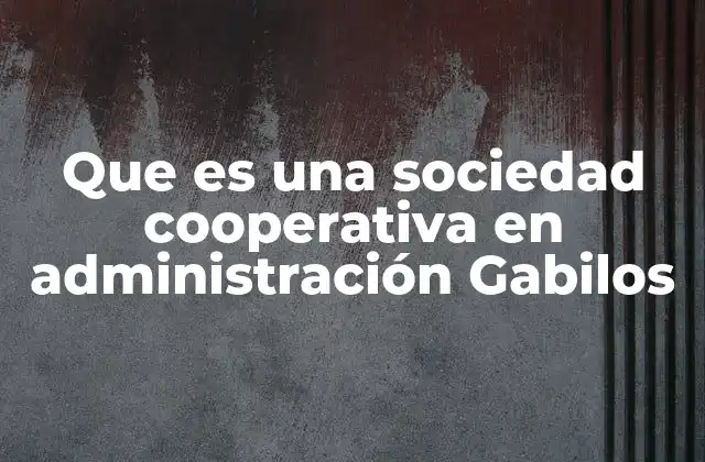 Que es una Sociedad Cooperativa en Administración Gabilos