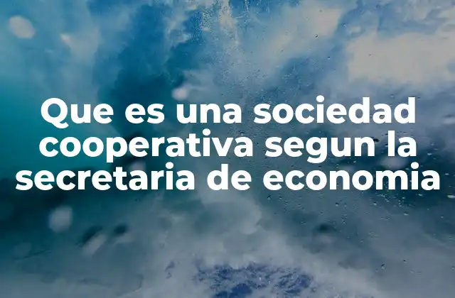 Que es una Sociedad Cooperativa Segun la Secretaria de Economia