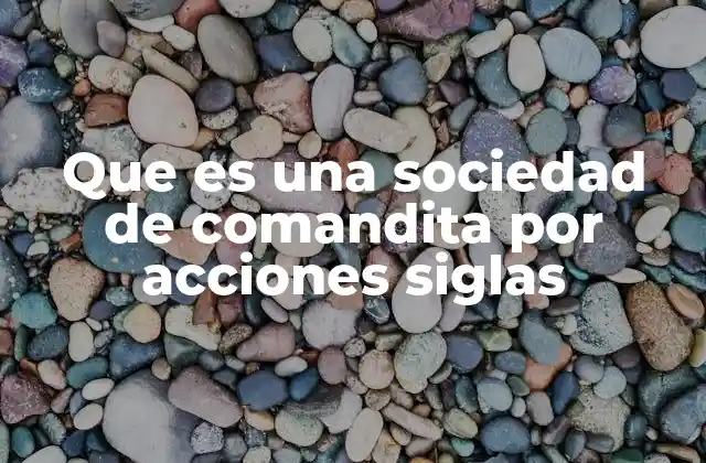 Que es una Sociedad de Comandita por Acciones Siglas