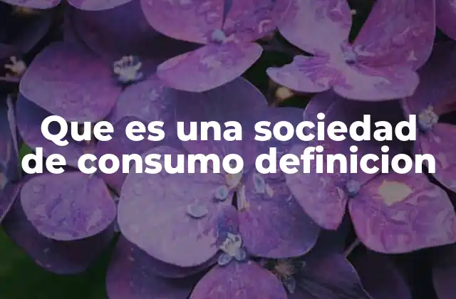 Que es una Sociedad de Consumo Definicion 2 El impacto económico y social de la sociedad de consumo