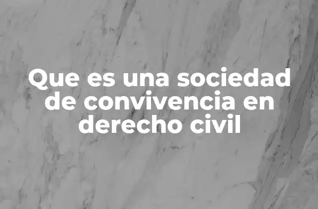 Que es una Sociedad de Convivencia en Derecho Civil