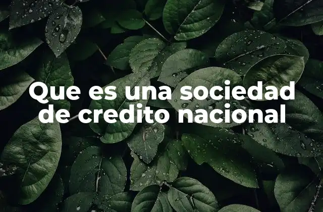 Que es una Sociedad de Credito Nacional 2 El papel de las entidades financieras en la economía nacional
