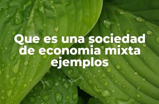 Que es una Sociedad de Economia Mixta Ejemplos 2 Características de las sociedades de economía mixta