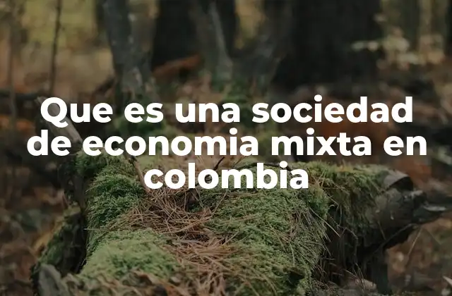 Que es una Sociedad de Economia Mixta en Colombia