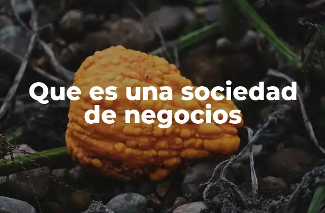 Que es una Sociedad de Negocios