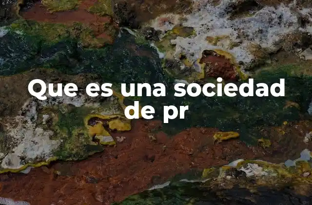 Que es una Sociedad de Pr