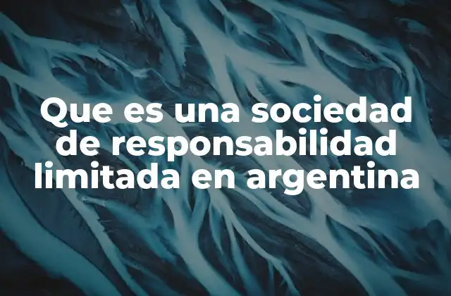 Que es una Sociedad de Responsabilidad Limitada en Argentina