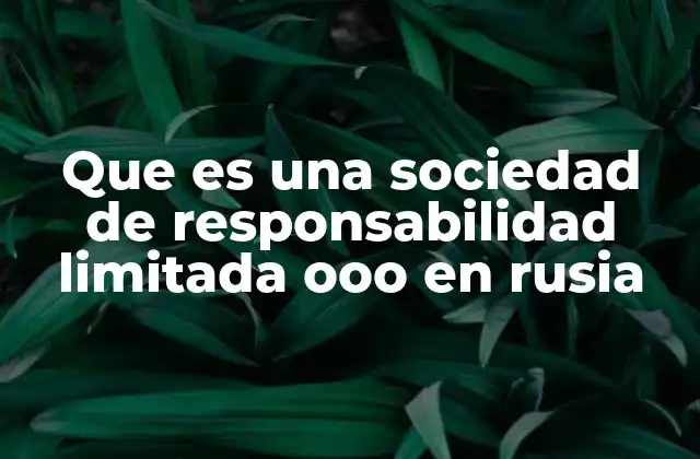 Que es una Sociedad de Responsabilidad Limitada Ooo en Rusia