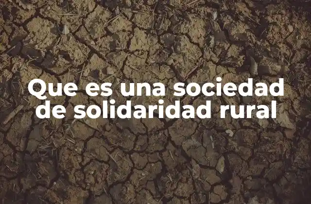 Las sociedades de solidaridad rural como motor de desarrollo local