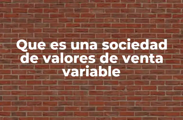 Que es una Sociedad de Valores de Venta Variable