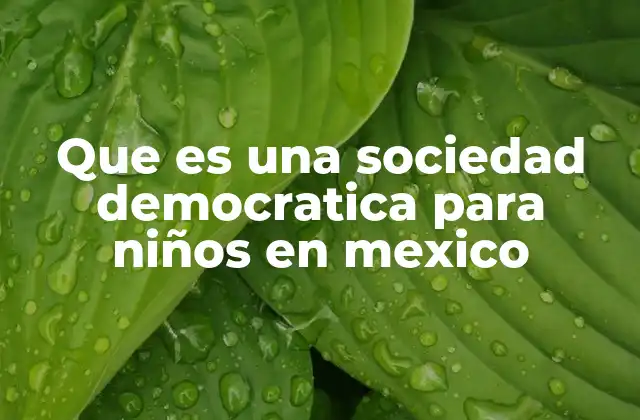 Que es una Sociedad Democratica para Niños en Mexico