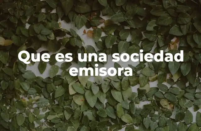 Que es una Sociedad Emisora
