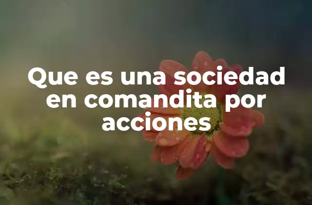 Que es una Sociedad en Comandita por Acciones